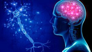 Lee más sobre el artículo Domingo 21 de Noviembre de 2021 | Matutina para Jóvenes | 83.000 escáneres de cerebro