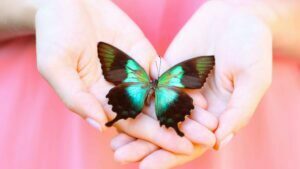 Lee más sobre el artículo Miércoles 30 de Marzo de 2022 | Matutina para Menores | La mariposa azul