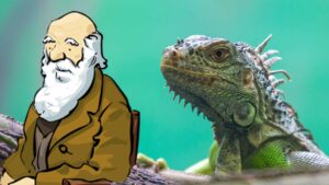 Lee más sobre el artículo Jueves 15 de Septiembre de 2022 | Matutina para Adolescentes | Las iguanas de Darwin