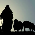 Domingo 25 de Septiembre de 2022 | Matutina para Adultos | Él es el pastor, y también la puerta
