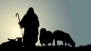 Lee más sobre el artículo Domingo 25 de Septiembre de 2022 | Matutina para Adultos | Él es el pastor, y también la puerta