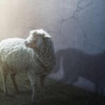 Domingo 30 de Octubre de 2022 | Matutina para Menores | ¿Eres una oveja o un lobo?