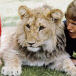 Lunes 28 de Noviembre de 2022 | Matutina para Menores | Christian, el león leal