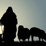 Matutina para Adultos | Miércoles 03 de Mayo de 2023 | “Como pastor apacentará su rebaño”