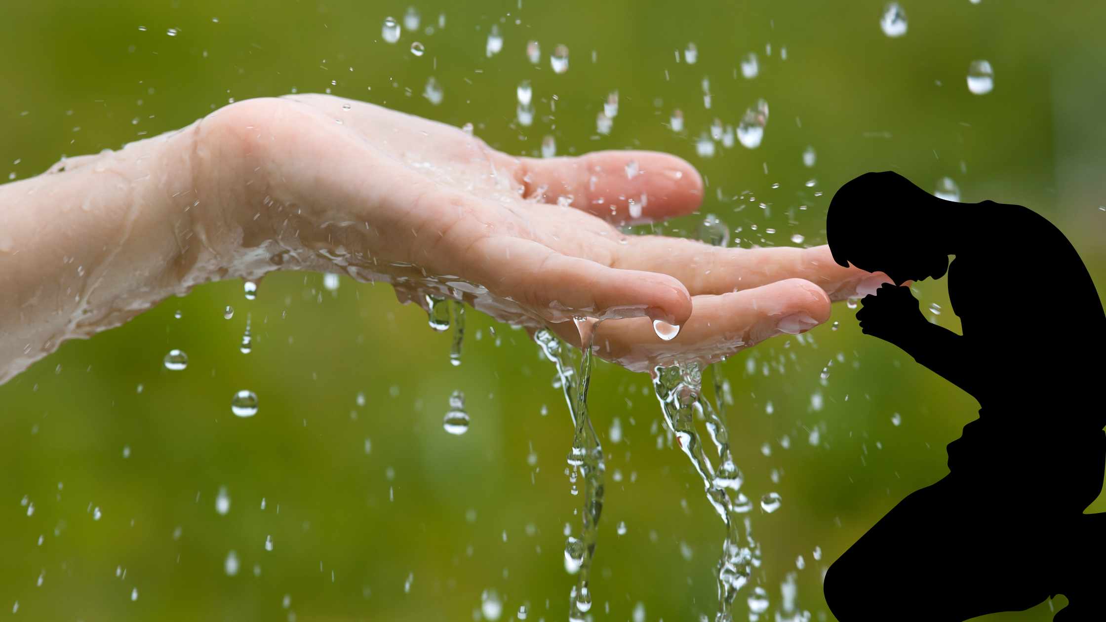 Lee más sobre el artículo Matutina para Mujeres | Miércoles 16 de Agosto de 2023 | Lluvia temprana y lluvia tardía