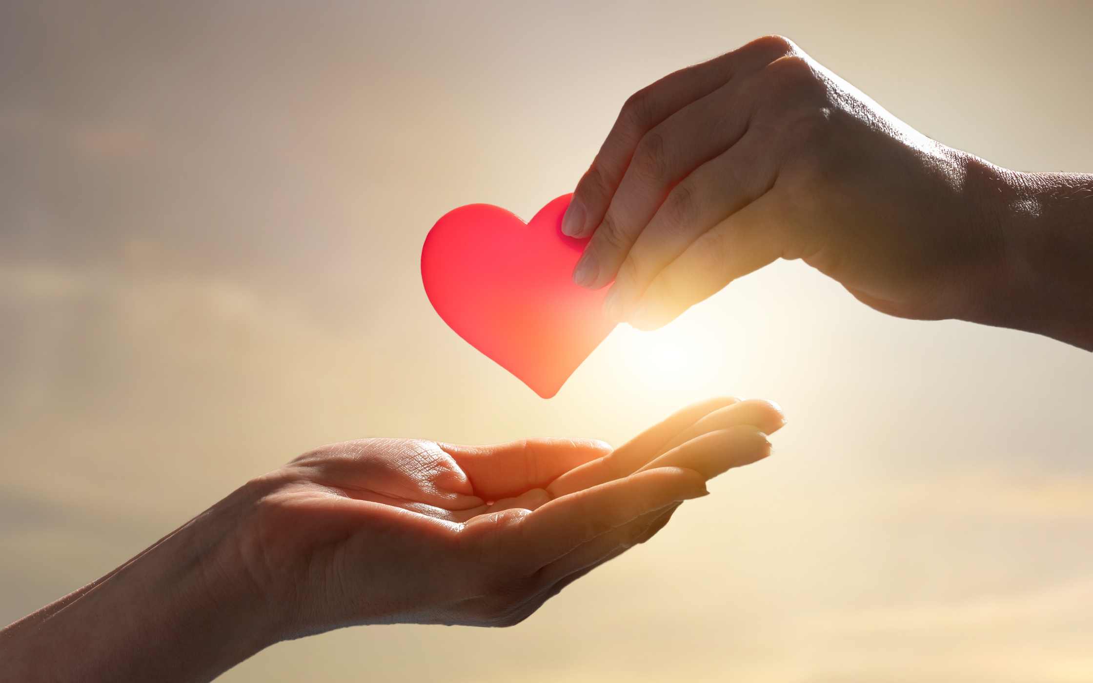 Lee más sobre el artículo Matutina para Adultos | Viernes 16 de Febrero de 2024 | Dios nos enseña a amar a todos