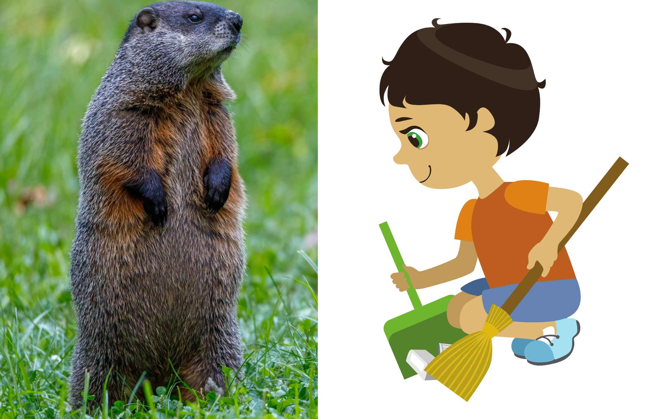 Lee más sobre el artículo Matutina para Menores | Jueves 28 de Marzo de 2024 | ¿Limpio como una marmota?