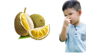 Lee más sobre el artículo Matutina para Menores | Miércoles 27 de Marzo de 2024 | Fruta maloliente